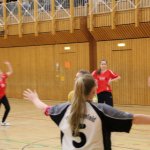 2016_01_16 Landesliga Jugend 19